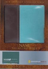 Thinline Bible - NAS (Italian duo-tone, chocolate/turquoise, imitation leather)