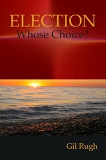 Election - Whose Choice?