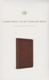 Large Print Value Thinline Bible - ESV 