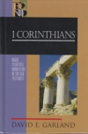 1 Corinthians - Baker Exegetical Commentary on the New Testament