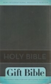 Gift Bible - NIrV (slate blue)