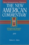 Job - The New American Commentary